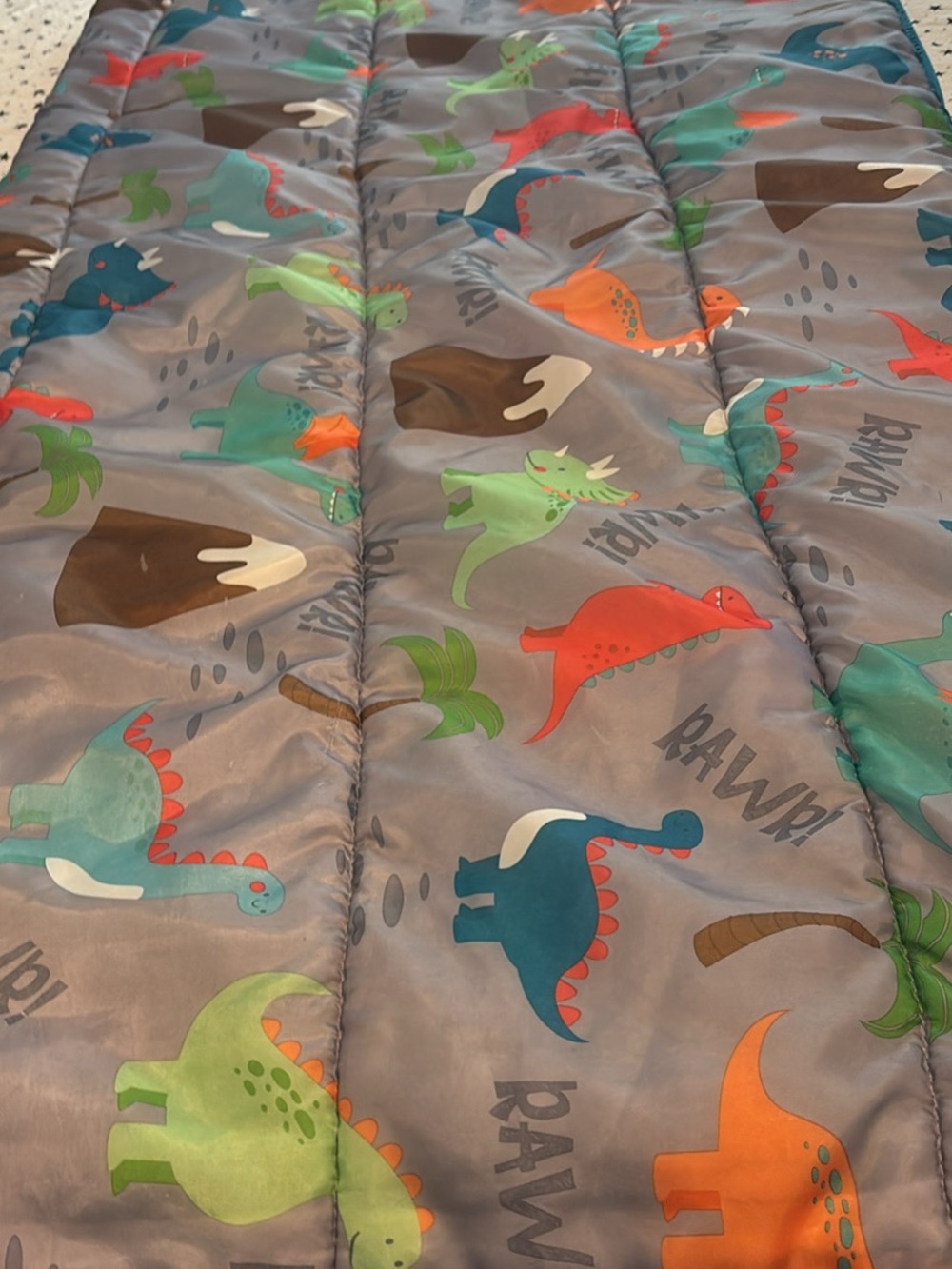 Kids Gray Dinosaur sleeping bag with Multicolor Dino Prints